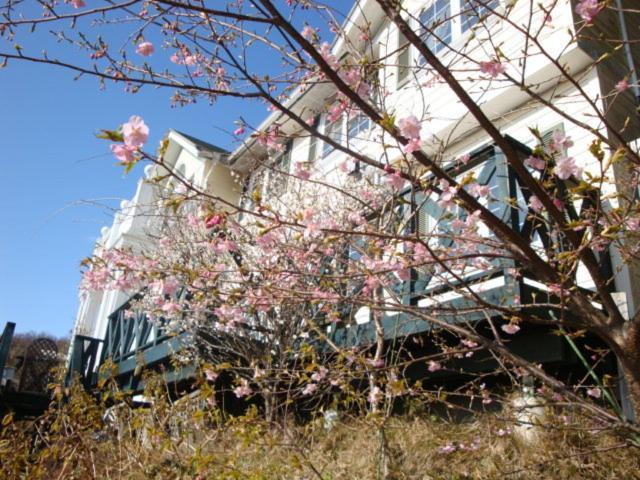 Liberty Hill Hotell Ito  Eksteriør bilde