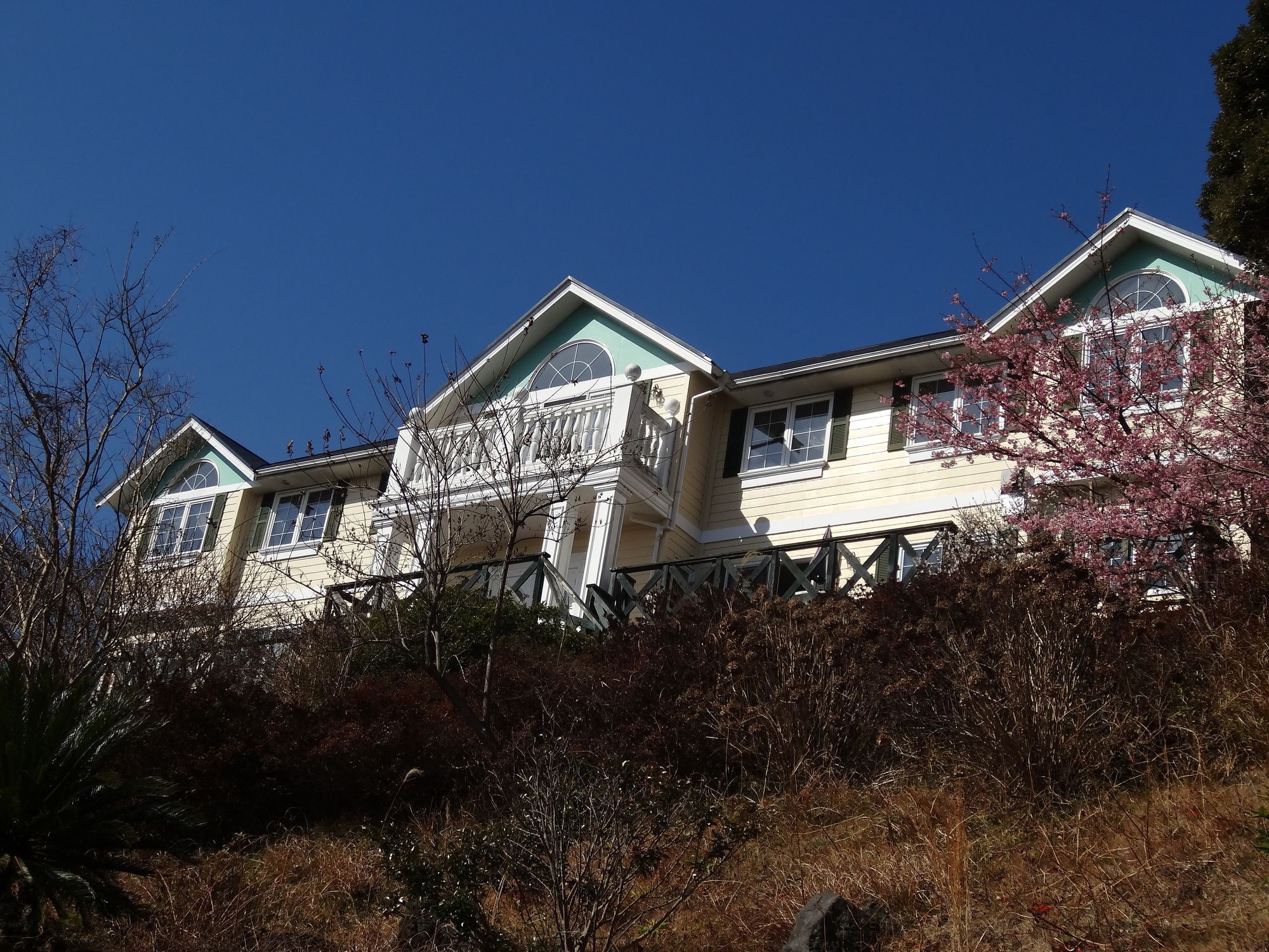 Liberty Hill Hotell Ito  Eksteriør bilde